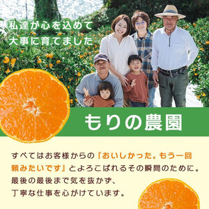 とろけるような完熟ハウスみかん1.3キロ＜7月1日～順次発送＞ドルチェみかん フルーツ 柑橘 果物 産直