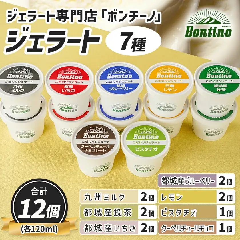 ジェラート専門店「ボンチーノ」7種12個セット_MJ-1565
