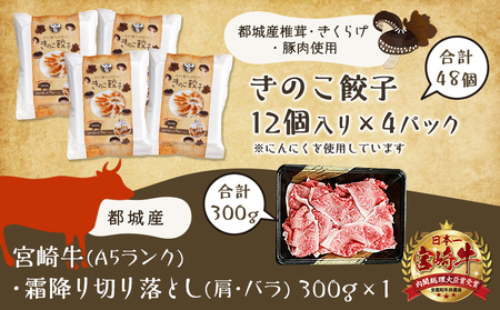 きのこ餃子48個&宮崎牛(A5)霜降り切り落し300g_18-8701_(都城市) ギョウザ 12個入り 4パック 椎茸 きくらげ 都城産ブランド豚 きなこ豚 きゃべつ ニラ ニンニク使用 ヘルシー餃子 大杉しいたけ園 都城産宮崎牛 切り落し 肩 バラ 霜降り