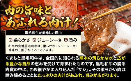 くまもと黒毛和牛6種食べ比べ　500g 《30日以内に出荷予定(土日祝除く)》