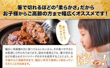 あか牛100%生ハンバーグ 140g×13個ハンバーグ《30日以内に出荷予定(土日祝除く)》