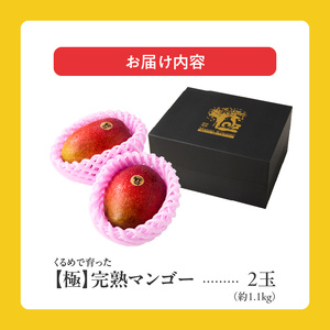 【2026年6月以降お届け】極　完熟マンゴー（2玉：約1.1kg）_完熟マンゴー 2玉 約 1.1kg 久留米産 平均糖度 17度～18度 完熟 マンゴー 国産 フルーツ トロピカルフルーツ 果物 デザート 冷蔵 クール便 お取り寄せ お取り寄せフルーツ 福岡県 久留米市 送料無料 〔Fm018〕