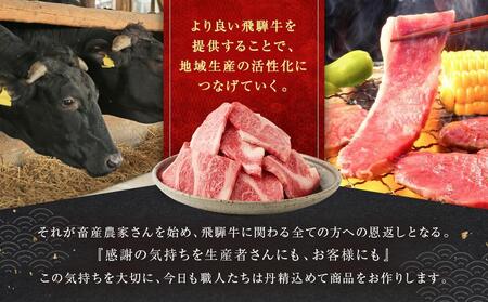 訳あり 飛騨牛焼肉用切り落とし たっぷり1kg （不揃い・大容量）| 飛騨牛 肉 おいしい 飛騨高山 切り落とし 小分け BBQ 肉の匠家 BV027VC13