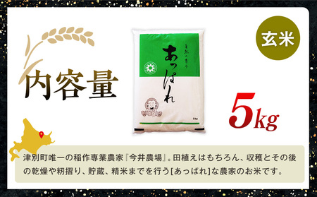 【令和8年産・早期予約受付】北海道産 津別町あっぱれ米（玄米） 5kg | 米 お米 新米 玄米 国産米 農家直送 産地直送 北海道 津別町 送料無料