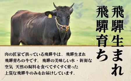 【11月開始】飛騨牛づくし 定期便 3ヶ月 ( 焼肉 / すき焼き / ステーキ ) 全3回  | 肉 しゃぶしゃぶ 食べ比べ 牛 定期 おすすめ 人気 飛騨高山 ブランド牛 ふるさと納税定期便 肉の匠家 BV100VC11