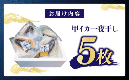 甲イカ一夜干し 5枚 [BGAW001] いか 干物