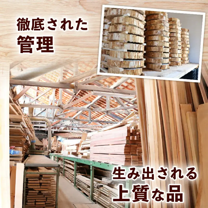 【知育玩具】ウッドデザイン賞受賞！『mekikinoki』  知育 木育 溝渕木材工業