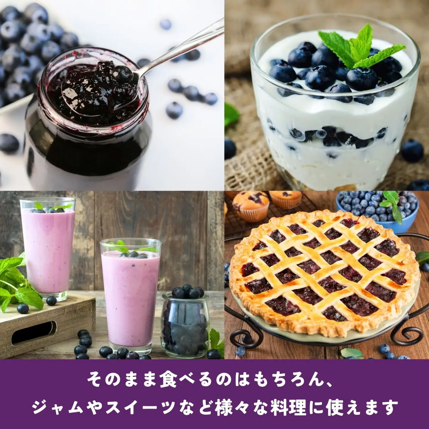 ブルーベリー １kg 【冷凍】【2026年7月より発送 先行予約】Br-003
