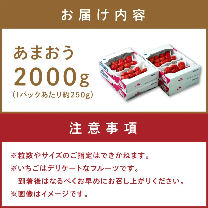 フルーツソムリエが選んだ福岡産【春】あまおう8パック【011-0091】