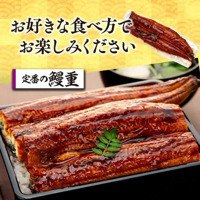 C01-J25 特大うなぎ長蒲焼 570g