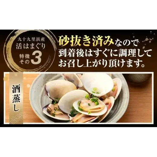 C01-J53 千葉県産活ハマグリ 1.5kg