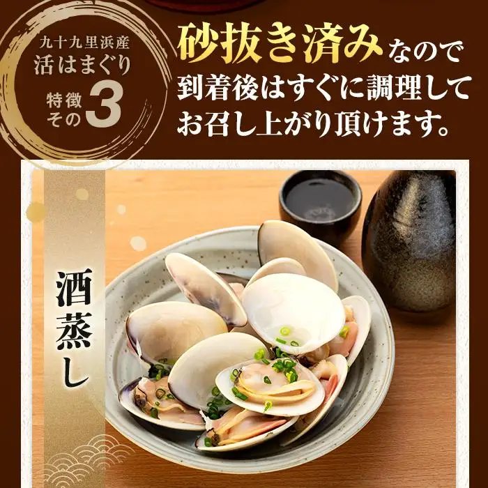 C01-I58 千葉県産活ハマグリ 3kg
