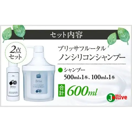 L02-011 ブリッサフルータル ノンシリコンシャンプー（500mL×1本、100mL×1本）