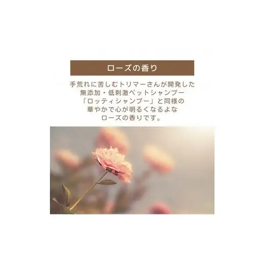 L01-020 ロッティシャイニーオイル（25mL×1本）