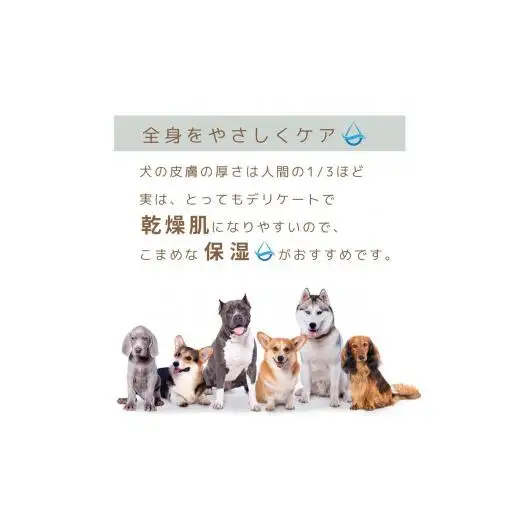 L01-022 フラッフィーグルーミングスプレー100mL×1本、フラッフィースキンケアローション100mL×1本