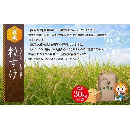 H04-B02 粒すけ（玄米30kg）令和8年産 | 千葉県長生村 | ふるさと納税