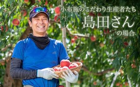 季節の桃 約2kg 5～9玉［ おぶせファーマーズ ］桃 もも モモ ピーチ フルーツ 果物 たまき なつき あかつき 川中島白鳳 なつっこ 川中島白桃 黄金桃 だて白桃 先行予約 長野県産 信州産 クール便 冷蔵便 お取り寄せ 産地直送 数量限定 産地 直送 令和8年産【2026年7月中旬～9月中旬発送】［F-61］