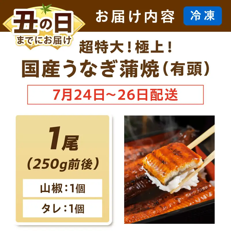 【7月24～26日配送】超特大！極上！国産うなぎ蒲焼 1尾 250g前後 ふるさと納税 鰻 九州産 国産 ウナギ 有頭 蒲焼き うな丼 うな重 うなぎ 国産