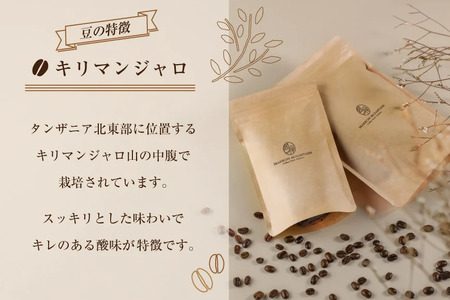 定期便 6回 コーヒー豆 3種セット 100g×3袋 [MARRON MOUNTAIN 埼玉県 小川町 307]