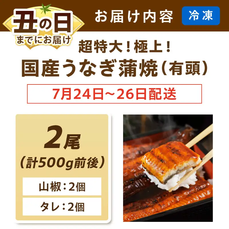 【7月24～26日配送】超特大！極上！国産うなぎ蒲焼 2尾 合計500g前後 ふるさと納税 鰻 九州産 国産 ウナギ 有頭 蒲焼き うな丼 うな重 うなぎ 国産