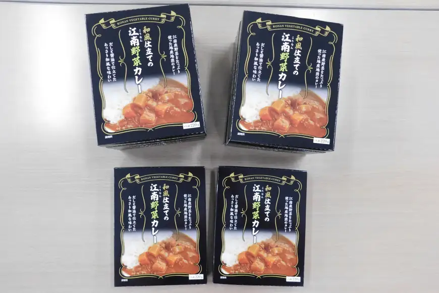 和風仕立ての「江南野菜カレー」 220g 10個 [江南商工会議所 愛知県 江南市 ko23btu330000]