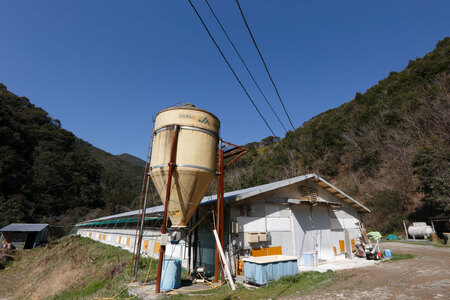 鶏肉 小分け 宮崎県産 ブランド鶏 夢創鶏 もも むね 切身 セット 200g 5p 2種 計2kg [英楽 宮崎県 日向市 452061148]
