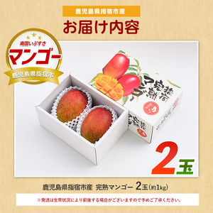 【2026年 発送】完熟 マンゴー 2玉 約1kg 花立山農業研究所 IB135-001 マンゴー フルーツ 果物