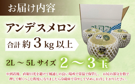 【先行予約】【訳あり】立体栽培の甘味凝縮アンデスメロン [A-180001] 【2026年6月下旬発送予定】【福井市三里浜砂丘地産】2L～５Lサイズ　2～3玉入り　約3Kg以上 / メロン アンデス めろん フルーツ 果肉 スイーツ 旬 福井 ふくい