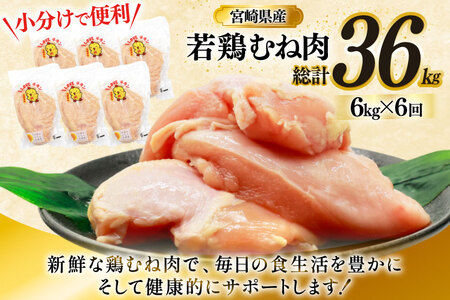 鶏肉 定期便 むね肉 若鶏 鶏むね肉 6kg 6回 総計36kg [ミヤケイフード 宮崎県 美郷町 31bp0019]