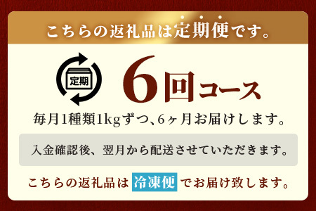 【定期便6回】 1kg×6回！ くまもと ビーフ 満喫 お楽しみ定期便【合計6.2kg】 熊本 あか牛 / 牛タン / 黒毛和牛 モモステーキ /あか牛 スジ / ハラミ / 黒毛和牛 ハンバーグ 092-0021
