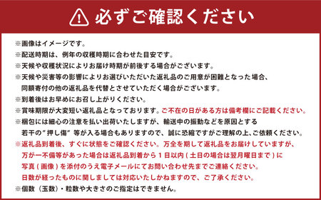 山形おきたま産シャインマスカット（秀） 2～3房 （約1.3kg） シャインマスカット マスカット 葡萄 フルーツ 果物 果実 冷蔵 山形県 白鷹町 【2026年9月下旬～10月上旬順次発送予定】