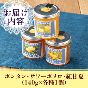 isa680 3種の柑橘ジャム食べ比べセットB(計3個・ボンタン、サワーポメロ、紅甘夏 各140g) 加工食品 果物 フルーツ 詰め合わせ 果肉 柑橘 低糖 ハンドメイド ジャム ギフト マーマレード 【薩摩美食倶楽部】