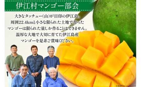 【期間限定発送】 家庭用 キーツ マンゴー 約 2kg (2～3玉) [伊江村マンゴー部会 沖縄県 伊江村 ie47bde320000]