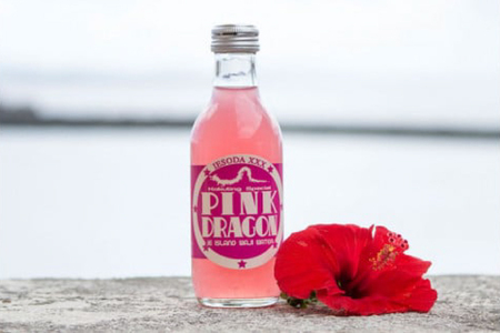 ソーダ 告白飲料 イエソーダ 8本セット [伊江島物産センター 沖縄県 伊江村 ie47bde210011]