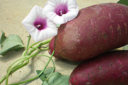 紅芋菓子 セット チップス 2袋 かりんとう 2袋 [伊江島物産センター 沖縄県 伊江村 ie47bde210063]