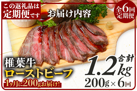 牛肉 【定期便】6回定期便 宮崎県産 大人気！椎葉牛 ローストビーフブロック 200g（100g×2P）×6回 計1.2kg ローストビーフ 牛肉 牛肉 定期便 TK-106
