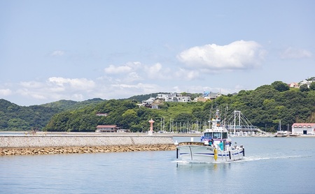 ちりめん ふりかけ ちり旨ふりかけ 味比べセット/ 梅小町 味ゴマひじき