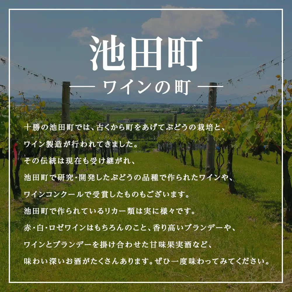 十勝ワイン 清見（キヨミ）1999　グレートビンテージ 720ml 北海道池田町 ビンテージ 赤ワイン 数量限定