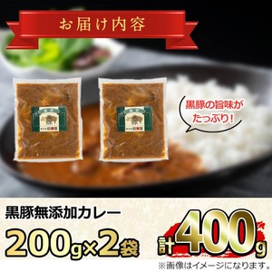 【0075132a】＜おためし＞鹿児島黒豚無添加カレー(計400g・200g×2P) 黒豚 豚肉 ぶた肉 カレー カレーライス かれーらいす 惣菜 【鹿児島ますや】