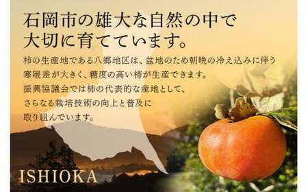 【2026年 先行予約】八郷柿出荷組合の 富有柿 3L（二段 22～24玉）柿 皇室献上柿 かき 富有カキ 果物 フルーツ くだもの カキ 富有かき 秋 旬 高級 糖度 贈答用 贈答品 ギフト 贈り物 品種 ブランド 11月 12月 発送 産地直送 農家直送 産直 茨城県 石岡市 (A21-001)
