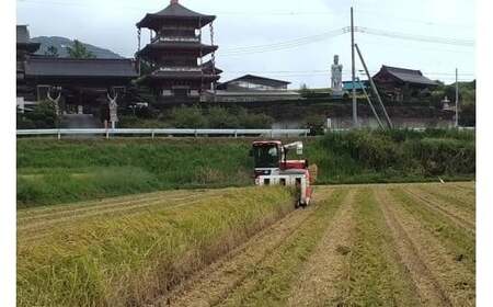 まんげつもち 精米 5kg 岡田ファーム もち米 マンゲツモチ お米 もち 米 モチ 5キロ 国産 餅 こめ コメ 茨城県産 茨城 産直 産地直送 農家直送 おこわ 団子 餅米 白もち米 精米もち米 餅つき 年末年始 満月もち 家庭用 贈答用 茨城県 石岡市 (B02-021)
