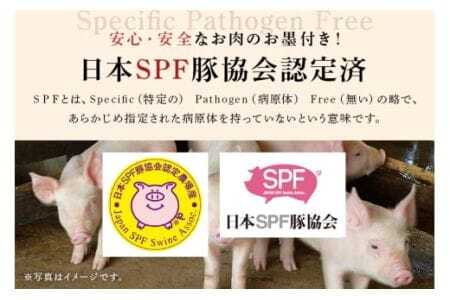 弓豚 しゃぶしゃぶ セット 1.2kg 豚肉 和豚 銘柄豚 ロース バラ モモ しゃぶしゃぶ用 肉 スライス 国産 高品質 希少 産地直送 ヘルシー 鍋料理 家庭用 ギフト 冷凍 【先行予約 2026年3月以降発送予定】 (C01-004)