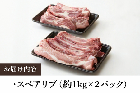 弓豚 スペアリブ セット 2kg 豚肉 和豚 銘柄豚 肉 骨付き肉 国産 高品質 希少 産地直送 ヘルシー 家庭用 ギフト 冷凍 【先行予約 2026年3月以降発送予定】 (C01-007)