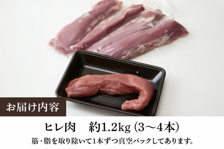 弓豚 ヒレ肉 セット 1.2kg 豚肉 和豚 銘柄豚 肉 ヒレ 国産 高品質 希少 産地直送 ヘルシー 家庭用 ギフト 冷凍 真空パック 【先行予約 2026年3月以降発送予定】 (C01-008)