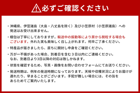【 2026年 先行予約 】 「加温ハウス栽培」 巨峰 3kg（ 種あり ） 久家ぶどう園 2房 ぶどう ブドウ 有機 肥料 ハウス 栽培 国産 果物 くだもの 葡萄 フルーツ 3キロ 夏 旬 品種 茨城県産 産地直送 産直 農家直送 冷蔵 茨城県 石岡市 (A04-007)