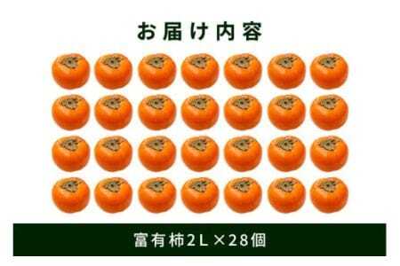 【 2026年 先行予約 】 富有柿 2L 28玉 (14玉×2段箱) 坂川果樹園 柿 甘い柿 かき 富有カキ 甘い 果物 フルーツ くだもの カキ 富有かき 秋 旬 甘柿 糖度 贈答用 贈答品 ギフト 贈り物 品種 ブランド 11月 12月 発送 産地直送 農家直送 産直 茨城県 石岡市 (A20-002)