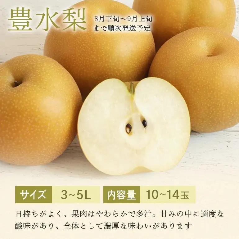 豊水梨 箱込約 5kg（JA新ひたち野）梨 約 10玉 ～ 14玉 (B01-010)