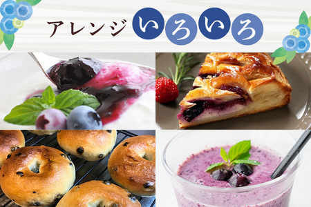ブルーベリー 1680g ( 280g 6パック ) 生 手摘み 新鮮 完熟 冷蔵 農薬 栽培期間中 不使用 果物 フルーツ 国産 産地直送 農家直送 産直 夏 7月 8月 発送 くだもの アントシアニン 茨城 茨城県 石岡市 (F09-001)