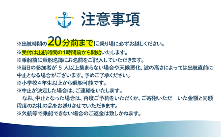 白鳥大橋主塔登頂クルーズ 標準コースチケット 大人1名様　 MROX007