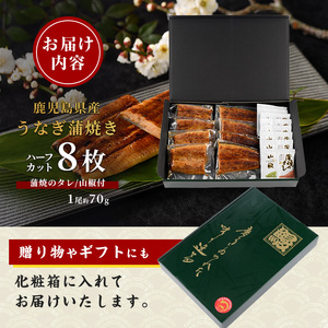 【丑の日に合わせてお届け！】【鹿児島県産】うなぎ蒲焼じっくり焼きハーフカット約70g×8枚 化粧箱入り(大新/IB021-007u) うなぎ